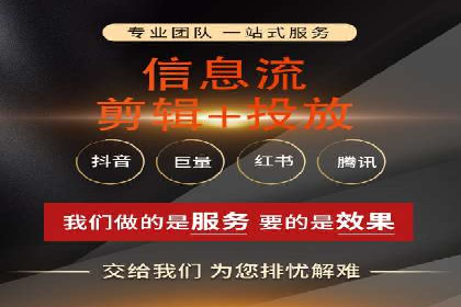 SEM搜索引擎优化策略解析与应用案例